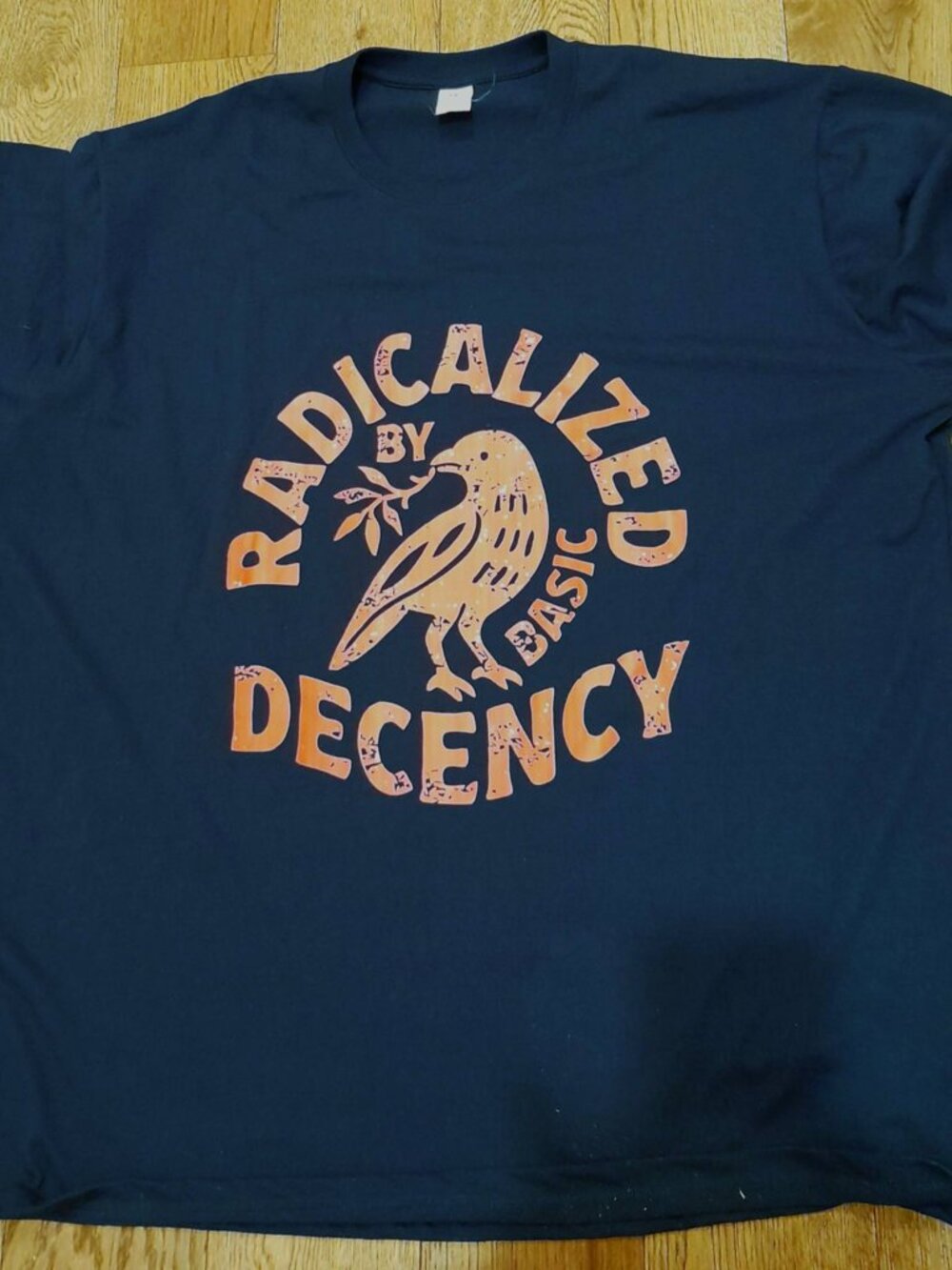 Unisex 3X Navy “Radicalized by Basic Decency” Graphic T-Shirt